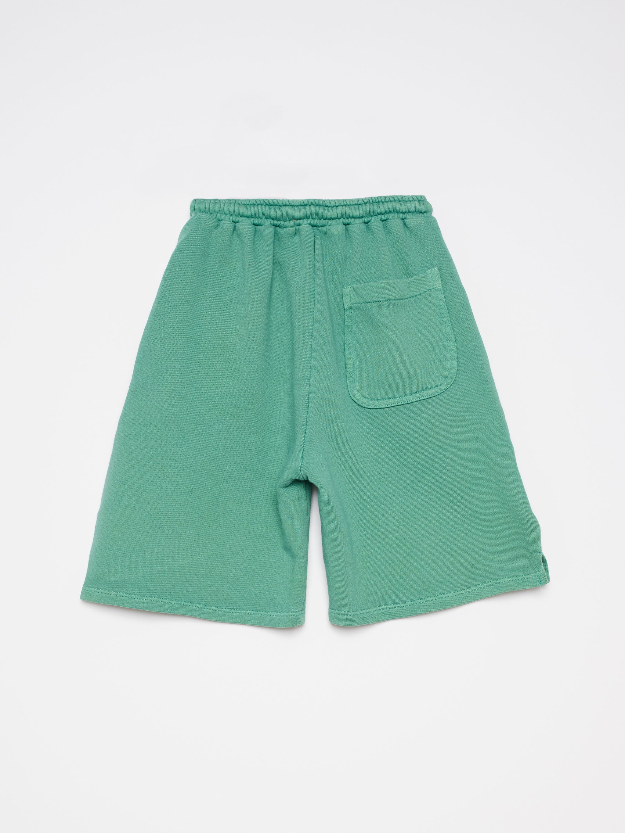 True Artist - Sweatshorts - Soft Green