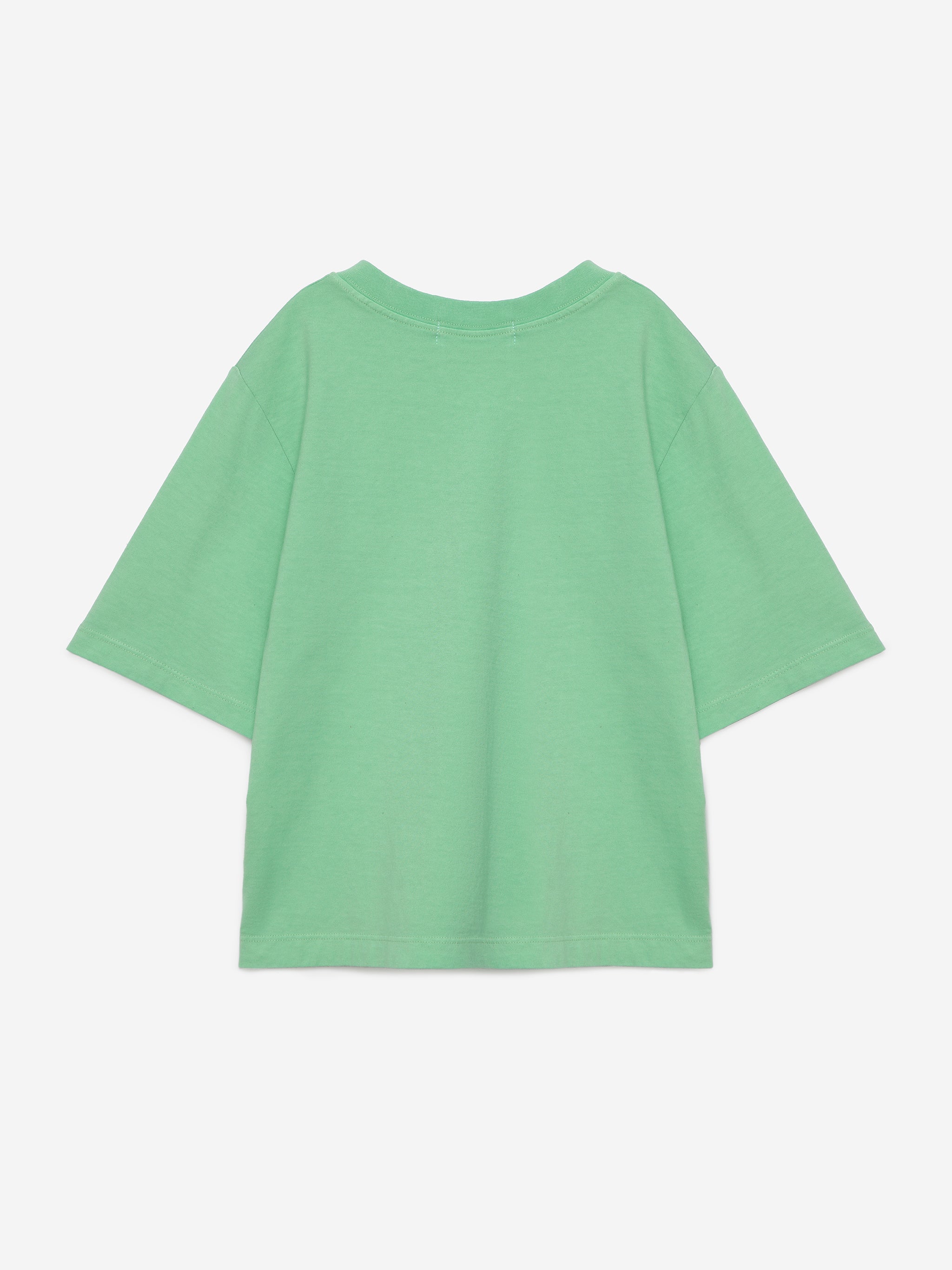 True Artist - T-shirt - Nile Green